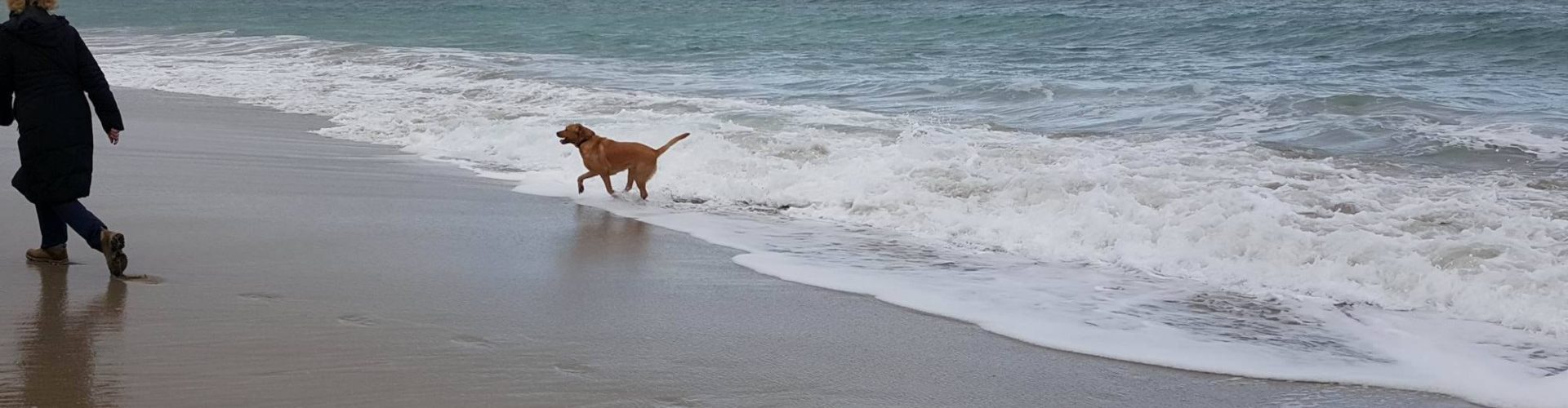 Ellie, owner of Mackays Hotel, walking on the beach in Wick with Max