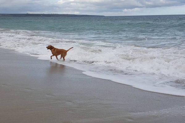 Ellie, owner of Mackays Hotel, walking on the beach in Wick with Max