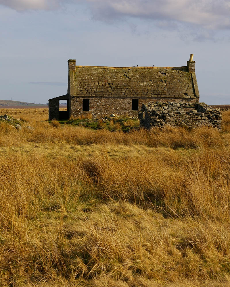A derelict crofters cottage on an open moor at Tormsdale in Caithness