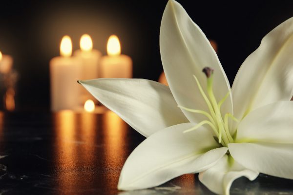 A white lily and candles