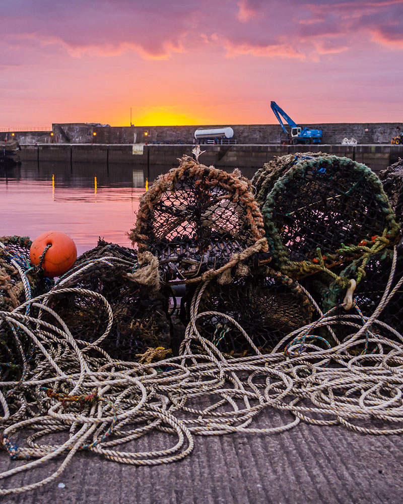 Wick Harbour at sunset with ropes and lobster pots on the dock
