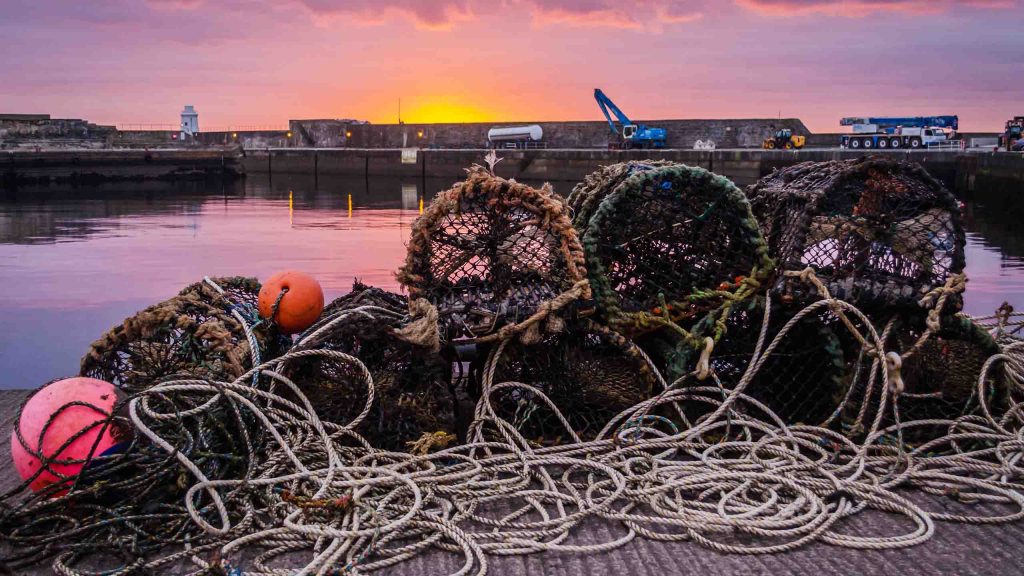Lobster creels sit on wick harbour with a beautiful sunset sky reflecting on the water
