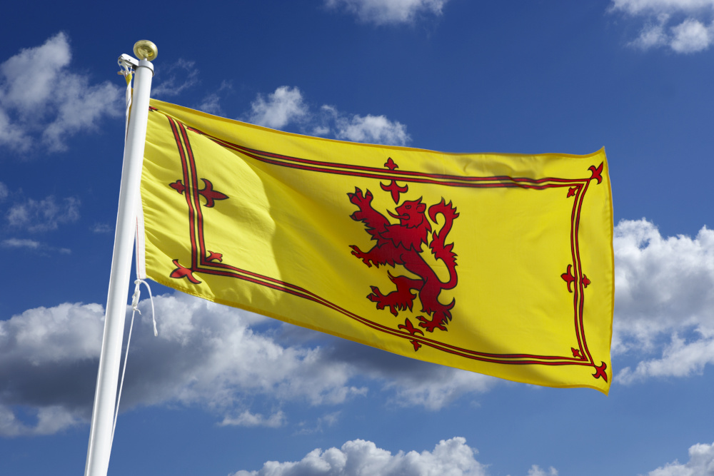 Yellow flag with red border and red lion design