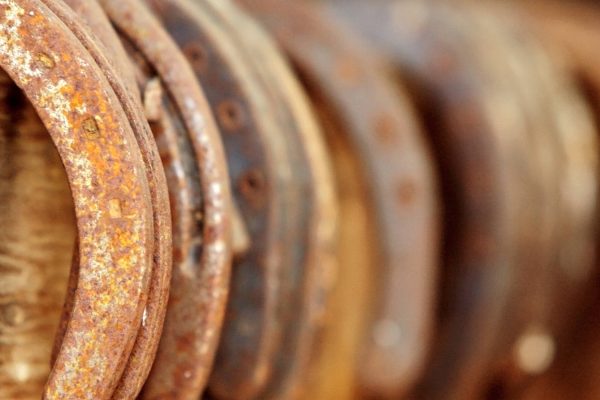 Row of horse shoes close-up