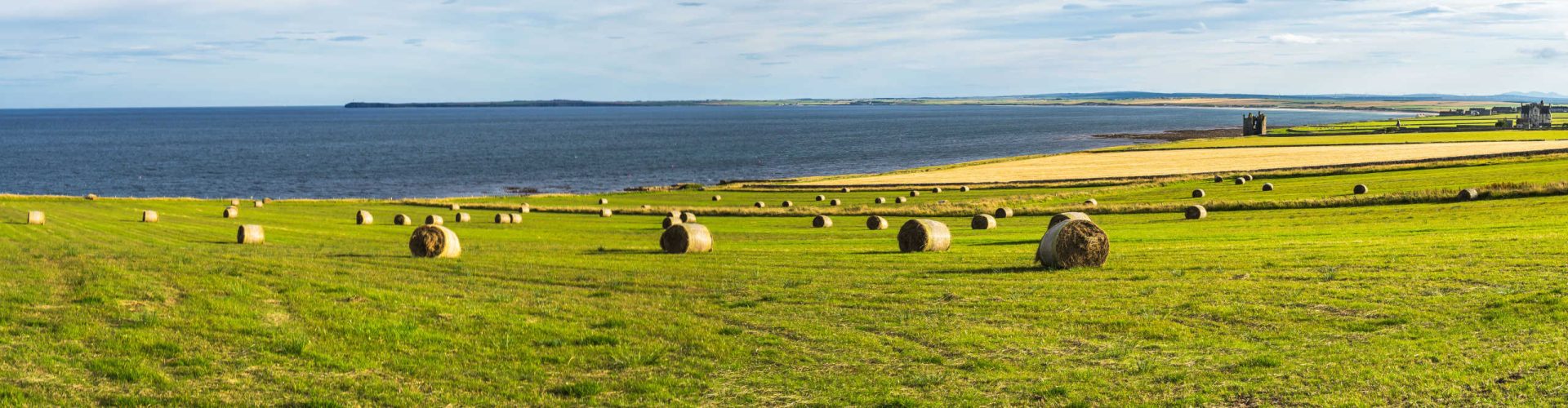 Sunny field with hay bales on the north coast of Scotland