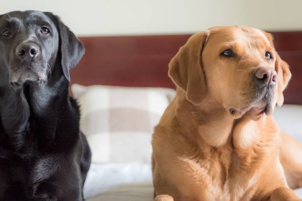 Max and Bria at Mackays in Wick