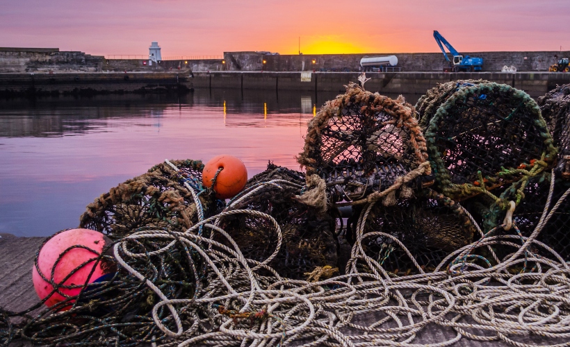 Lobster pots at Wick Harbour