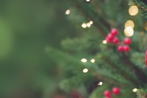 Photo of Christmas tree with blurred green background