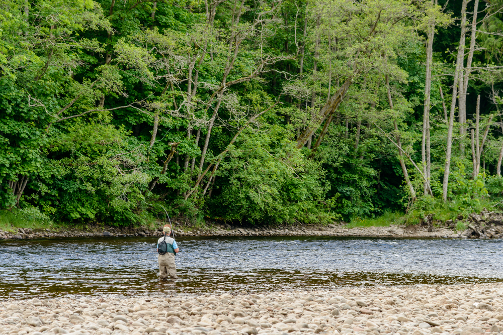 An unidentified man fly fishing on the Wick River.