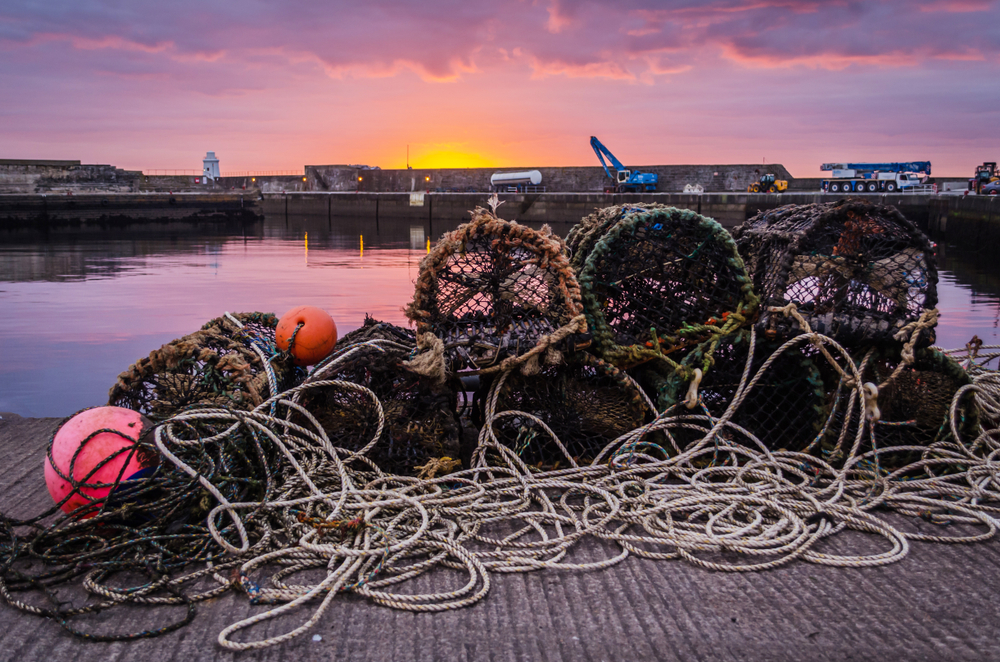 Wick Harbour in Scotland at dawn
